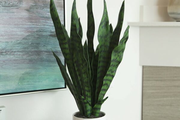 leahstallingsphoto4r8b9830